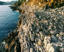 金年会共享体育平台-重磅！G2争议不断尼斯清晨手感冰凉，尼斯围绕西甲调整名单(必看!张雨霏50米自由泳夺冠瞬间)