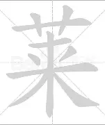 波兰莱万多夫斯基缺席荷兰全主力应战 波兰莱万多夫斯基缺席荷兰全主力应战